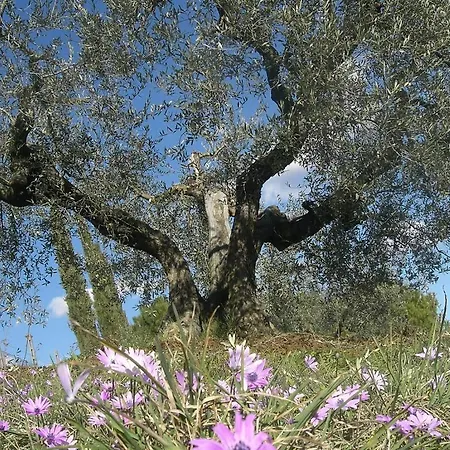 La Posta Di Confine *
